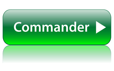 Bouton Web COMMANDER (acheter réserver ajouter au panier payer)