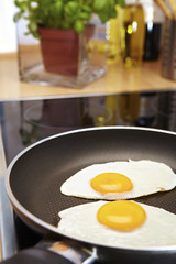 Egg sunny side up