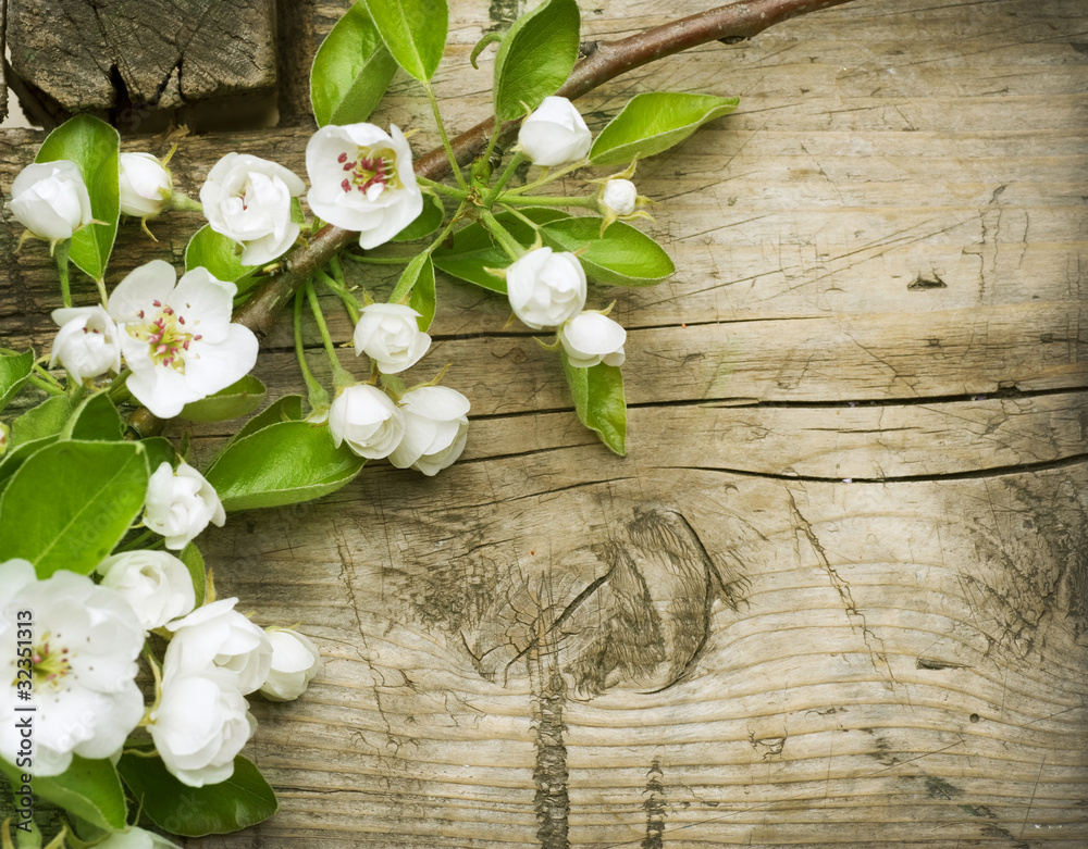 Sticker Spring Blossom over wooden background