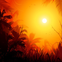 Naklejka premium Jungle background at sunset