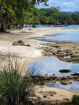 Costa Rica beach seashore on the Caribbean coast in Puerto Viejo de Talamanca, Central America