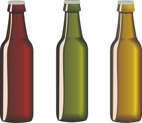 beer bottles in vector
