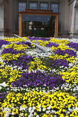 Fototapete bei efototapeten.de bestellen   