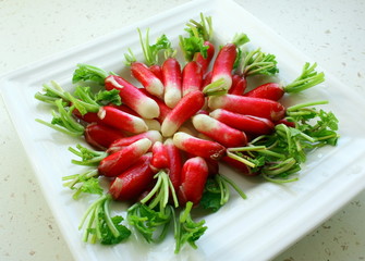 assiette de radis