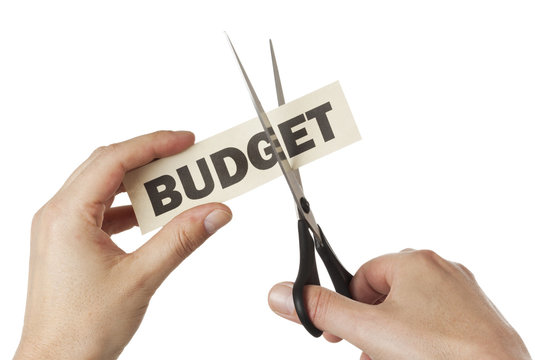 budget cut
