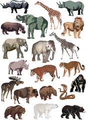 color animals large collection