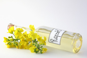 Rapsöl mit Blüten