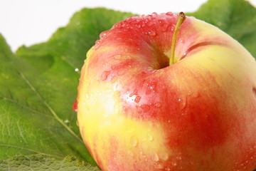 Apple fresh and clean