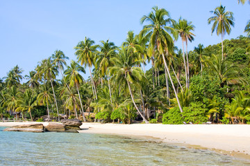 Tropical beach with palm grove , Thailand .