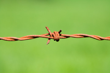 Stacheldraht