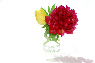 Peony