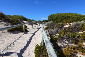 Fototapeta na wymiar Rottnest island in Australia