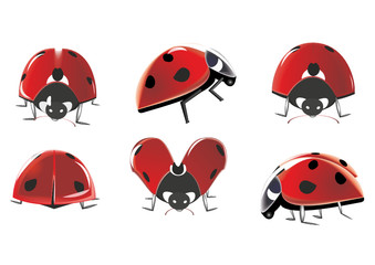 vector set of ladybugs