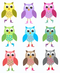 Door stickers Birds, bees colourful owls