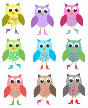colourful owls