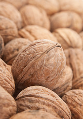 Walnut background