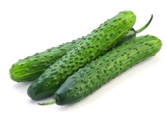 Long cucumber