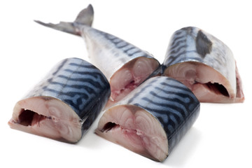 pieces of chopped mackerel on a white background