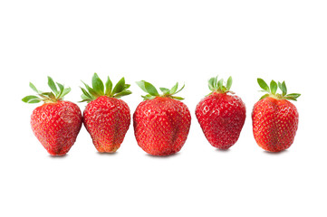 strawberries in a row