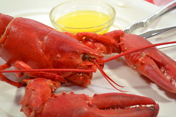 Delicious Lobster