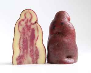 Potato tuber section of native red skin variety