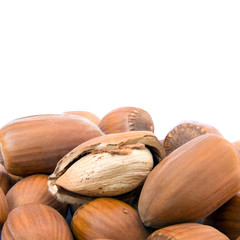 Hazelnut cutout