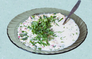 cold soup with chopped vegetables and meat on the plate