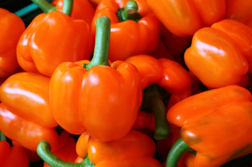 Poivron orange