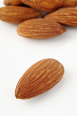 almond group on background