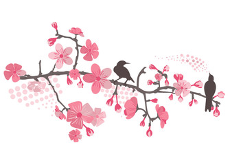 Cherry tree with flower and birds