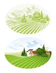 Vector landscape with cultivated fields, village and mounains