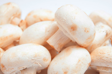 mushrooms