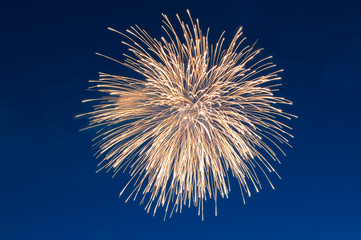 firework on blue sky