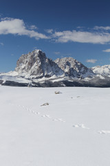 Fototapeta na wymiar Berg Langkofel in den verschneiten Dolomiten
