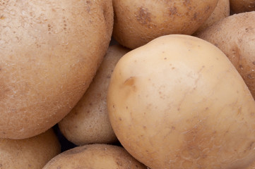 Fototapeta premium Freshly dug organic potatoes