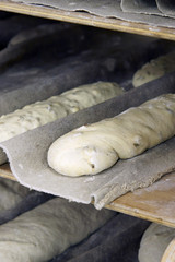 Fototapeta na wymiar pate à pain reposant avant cuisson # 26