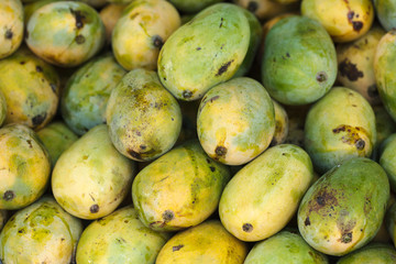 ripe mangoes at market