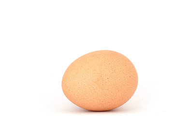 Egg on white background