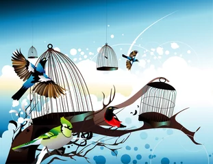 Crédence de cuisine en verre imprimé Oiseaux en cages oiseaux s& 39 envolant de leurs cages