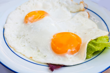 Prepared Egg
