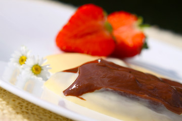 Schokoladenpudding,Vanillepudding