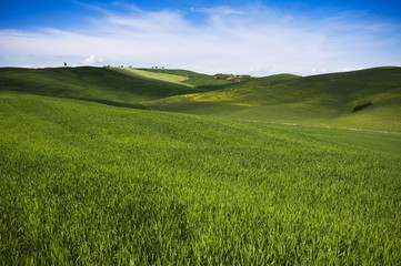 Tuscany landscape