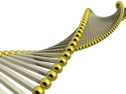 Model of DNA from white metal rods and yellow metal balls №1