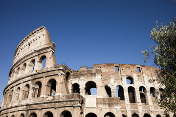 Fototapeta na wymiar Koloseum, Rzym, Włochy