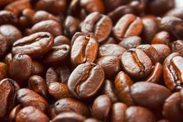 texture of the roasted coffee beans