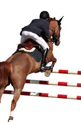 Reitsport, Pferdesport, Reiten, Springreiten, Hürdenspringen