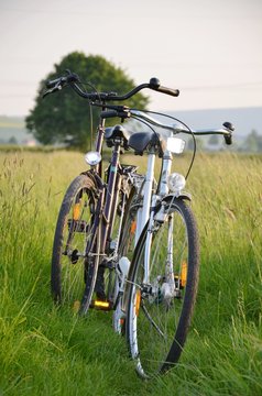Fahrräder im Feld