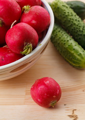 Fresh radish and cucumbers