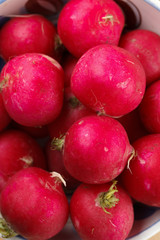Fresh radish