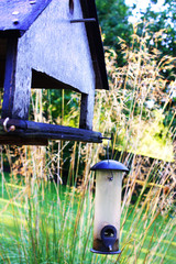 Bird house